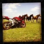 Brady Hudson - @bweston23 - Instagram