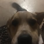 Brady Hudson - @hudson.brady - Instagram
