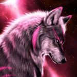 brady - @bradyirwin617 - Instagram