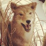 Brayden Jacobsen - @bradyjacobsen052019 - Instagram