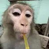 Brady Kennedy - @brady__kennedy - TikTok