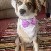 brady kirk - @.bradyk04 - TikTok