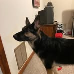 Brady Kirk - Facebook
