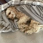 Brady Kirk - @brady_kirk1220 - Instagram