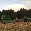 Brady Kirk - @bradykirk71 - TikTok