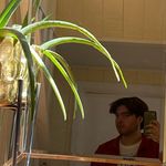 Brady LeBlanc - @brady._.le - Instagram