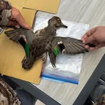 Brady Lee - Facebook