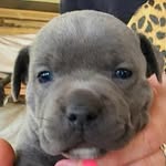 Brady Lynch - @bradylynchy2024 - Instagram