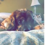 Brady Martin Berniard - @bradymartinberniard - Instagram
