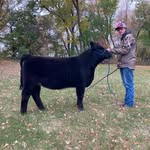 Brady Mitchell - @bradymitchell31 - Instagram
