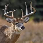 Brady mitchell - @brady_mitchell69 - Instagram