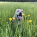 Brady Mitchell - Facebook