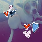 Brady Nolan Blaisdell - Facebook