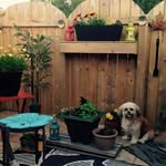 Brady Patterson - @bradypatterson02 - Instagram