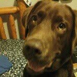 Brady Payne - @ydarb320 - Instagram