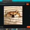 Brady the tiktoker - @bradypayne93 - TikTok