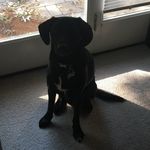 Brady Perkins - @bradyperkins1 - Instagram