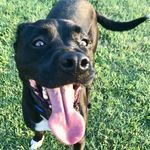 Brady Thomas Perkins - @hi_imbrady - Instagram