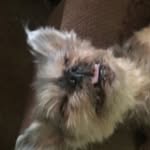 Brady peterson - @bradypeterson1290 - Instagram