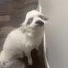 bradyrosss - @bradyrosss - TikTok