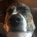 Brady Rowe - @bradyrowe55 - Instagram