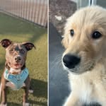 Brady & Russell - @brady.russell25 - Instagram