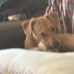 Brady Russell - @brady72898 - Instagram