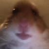 brady.russell - @brady.russell4 - TikTok
