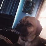 Brady Schwebach - @nose_sucker_ - Instagram