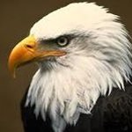 brady stevenson - @codycrilly2003 - Instagram