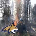 Brady Sturm - @sturmbrady - Instagram