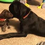 Brady And Tate - @bradyandtate - Instagram