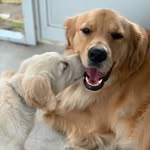 Brady James & Tate Branson - @theadventures_of_bradyandtate - Instagram