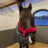 Brady ❤️ - @equilocktemplebrady - TikTok