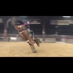 Brady Temple - @templebrady - Instagram