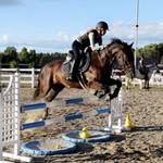 Equilock Temple Brady - @equilock_temple_brady - Instagram