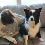 Brady - @bradytothejen - Instagram