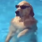 Brady Toth - @bradyt_1234 - Instagram
