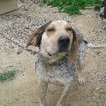 Brady townsend - @bradytownsend559 - Instagram