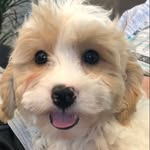 Brady Townsend - @bradytownsend77 - Instagram