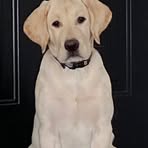 Brady Townsend - Facebook