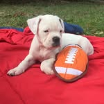 Brady Tuttle - @brady.tuttle - Instagram