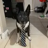 Brady Wagner - @brady.wagner6 - TikTok