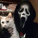 Brady Wallace - @bradywalrus - Instagram