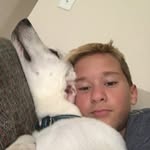 Brady_Walton - @brady_walton4 - Instagram