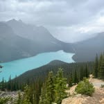 Brady Walton - @bradywalton10 - Instagram