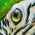 Brady Webb - @trashbashsmash - Instagram