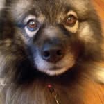 brady Webster - @blue_boi09 - Instagram