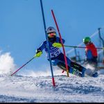 Brady Webster - @bradywebster81 - Instagram