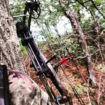 Brady Webster - @bradywebster9356 - Instagram